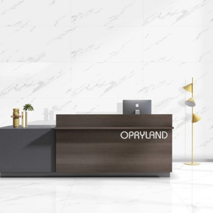 Carreaux de porcelaine polis émaillés numériques au design moderne 600x1200mm Collection Alaska Finition brillante 9mm d'épaisseur NCRAZE Antidérapant - Product Image 4