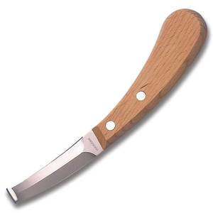 Oferta de Venta Caliente: Cuchillo de Caza, Instrumentos Quirúrgicos Veterinarios de Supervivencia, Acero Inoxidable de Alta Calidad, Tamaños Personalizados - Product Image 4