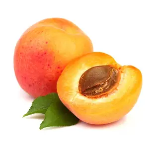 Private label Apricot Kernel Oil For Aromatherapy apricot kernel carrier oil manufacturers and suppliers