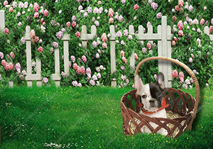 Factory Direct Sale Eco Friendly Bamboo Woven Picnic Fruit Basket Rattan Storage Basket to Keep Flowers Bread Food Wicker Basket - Product Image 4