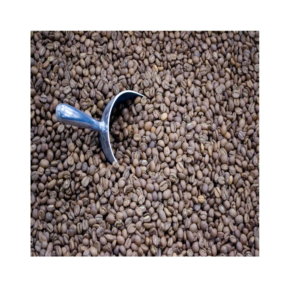 Premium Quality Bulk Brazilian Specialty Grade Arabica Coffee Ground Or Whole Bean Freshly Roasted Coffee