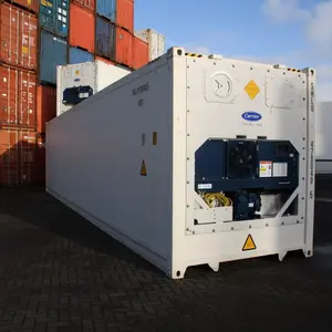 Used Carrier Reefer Shipping Containers Export to Asia, Europe