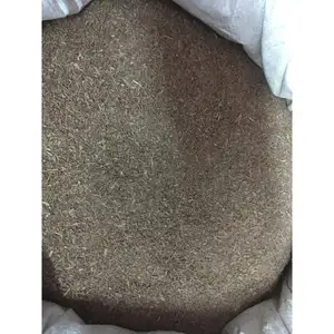 Terminalia Arjuna Bark Tea Bag Cut Chola Superfoods Best Price Terminalia Arjuna CSF/TERAR/2022-2023 Tea Bag Cut