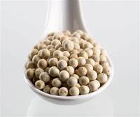 Vietnam's beste kwaliteit GMP-gecertificeerde gedroogde witte peper, 100% natuurlijke korrel, groothandelsprijs, gratis monster beschikbaar