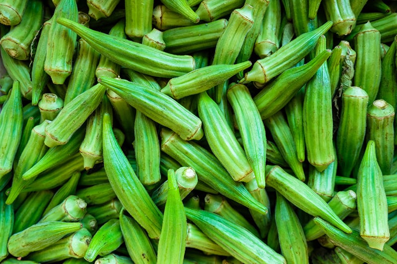 OKRA EXPORT LARGE QUANTITY WITH BEST QUALITY // THOMAS +84961478592