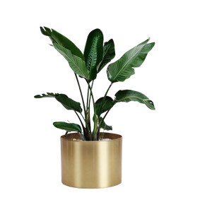 Maceta decorativa de Metal para el hogar y el jardín, maceta de hierro, maceta de metal dorada - Product Image 6