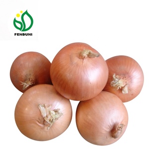 Trung Quốc Xuất Khẩu Tươi Giá Vàng Hành Tây Cho Người Mua Và Nhập Khẩu Bán Buôn - Product Image 1
