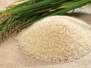 Arroz blanco de grano corto, arroz blanco 5% roto de Vietnam/arroz blanco, venta al por mayor para la exportación - Product Image 3