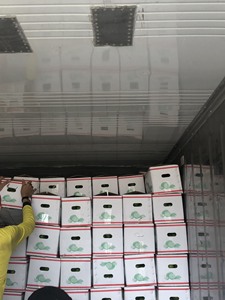 chanh tươi Việt Nam/ chanh tươi/ chanh không hạt, trực tiếp từ trang trại +84765149122 - Product Image 6