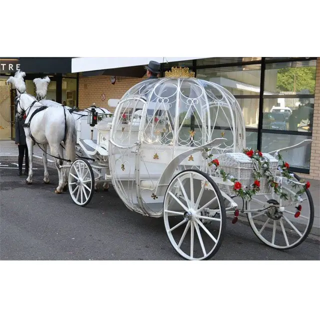 Prinses Pompoen Stijl Cinderella Paard Rijtuigen Verschillende Stijl Cinderella Wagen Indiase Bruiloft Paardenkoetstochten/Buggy