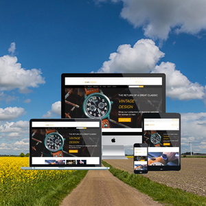 Personality Watches Ecommerce Website Design & Development Company | Offshore eCommerce Website Development Services by Webroot - Product Image 4