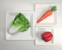 En gros alimentaire bagasse conteneur jetable biodégradable canne à sucre bagasse plaque carrée