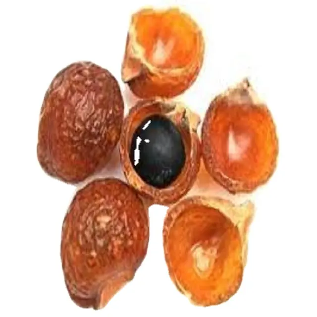 WholeSale Supplier of Reetha Fruit Powder from India