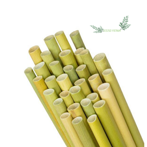 หลอดหญ้าย่อยสลายได้,หลอดหญ้าแบบสั่งทำ/หลอดหญ้าดื่มจากธรรมชาติสำหรับดื่มเพื่อสุขภาพผลิตในเวียดนามภายในปี Eco2go - Product Image 1