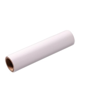 <span class=keywords><strong>Película</strong></span> de Fluoruro de Polivinilideno (PVDF) Transparente de 25 micras Resistente a la <span class=keywords><strong>Intemperie</strong></span> - Product Image 5