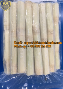 Caña de Azúcar fresca Natural de calidad superior, producto para la fabricación a granel, jugo saludable, Whatsapp 84, 981, 144, 196 - Product Image 3