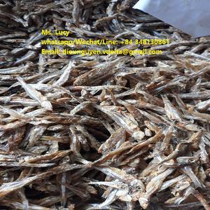 ปลากะตักแห้ง sprat แห้งจากเวียดนาม - Product Image 6
