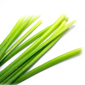 Lemon Grass Oil 100% Pure & Natural Cymbopogon Citratus Essential Oil