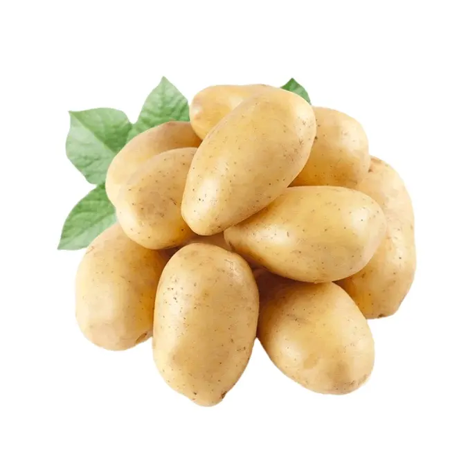 Best Quality Big Sized Potatoes With Holland And African Seeds