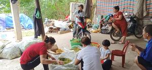 ราคาของผลไม้แห้งเวียดนาม คลอเซน่า ลันซิอุม - กอรากอตตา คาริเวปิลี - Product Image 6