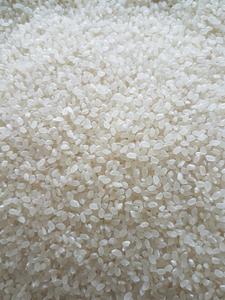 Arroz Japonés Es Uno de los Mejores Arroz para Hacer Sushi en Japón, Directamente del Proveedor en Vietnam - Product Image 6