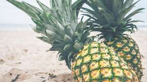 Piña fresca al por mayor - Product Image 4