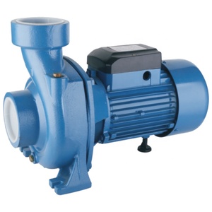 Pompe à eau centrifuge électrique monophasée en fonte <span class=keywords><strong>DHm</strong></span> 0,8-5,5 CV avec support personnalisé pour les maisons familiales - Product Image 1