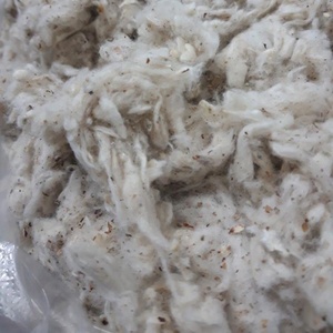 Venta al por mayor barato 100% algodón tarjeta Fly Card Fly Fardos para residuos textiles Spinning Mills 100% algodón Lickerin por La Sra. Florence - Product Image 3