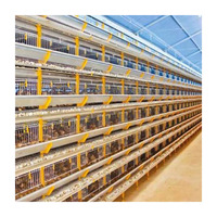 Équipement d'élevage de volailles, type cage à cailles manuelle, fermes, faible taux de rupture des œufs, fil galvanisé, 360 cailles, groupe MT fourni