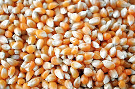Maíz congelado - Product Image 6