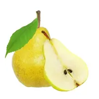 輸出用の高品質の新鮮な甘い梨
