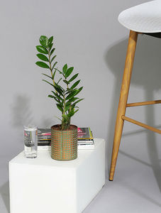 Maceta de jardín redonda de diseño en cobre con acabado rosa, perfecta para una elegante exhibición de flores en interiores y exteriores - Product Image 5