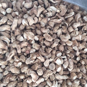 Comida orgánica saludable onlg 1Kg seco secado hongo Shiitake madre/pierna - Product Image 3