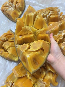 แจ็คผลไม้แช่แข็งจากเวียดนาม - Product Image 3