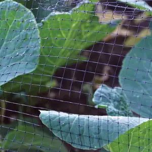 庭の池の網の木または植物の網庭の緑の植物ネットカバー鳥や動物の植物を保護します