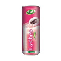 Vietnam Drank Fabrikant Oem Service Trobico Merk Tamarinde Sap Drinken 250Ml Blik