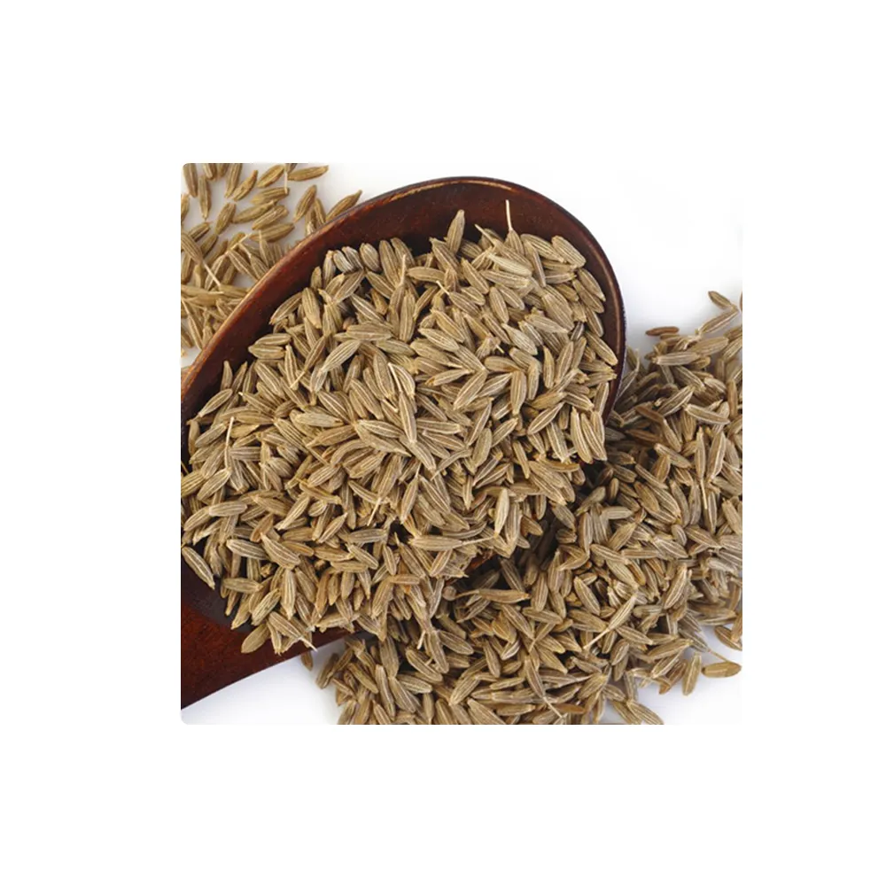 Máscara de granel para alimentos essenciais, sementes de cumino 100% de qualidade fresca, sementes de granel em formato de pó, qualidade superior, masala indiana