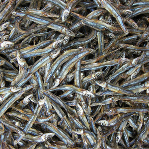 Ankara — nourriture séchée, nourriture de mer, VIETNAM - Product Image 1