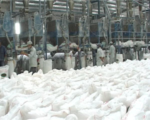 Almidón de Tapioca de Primera Calidad, Grado Alimenticio, al Mejor Precio - Product Image 5