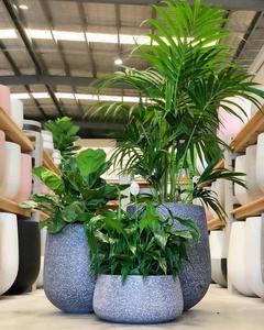 Top Minimaliste Jardin Fournitures Personnalisable Grand Extérieur Résine Fleur Vase Vietnam Lisse Couleur Finition Béton Galvanisé - Product Image 6