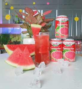 Boissons au jus de pastèque nourrines, 500ml, 1 pièce, meilleur prix, livraison gratuite, OEM, ODM - Product Image 5