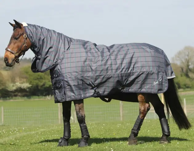2020 New Arrivals Waterproof Fashionable Custom Design 1200D Horse Winter Turnout Rugs