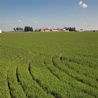 1000 g Riz Noir Giuseppe Verdi Sélection Italien Fabriqué en Italie Riz