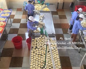 Ananas frais en conserve du delta du Vietnam, tranches de fruits enrobées de sirop, ananas en tranches conservées 1kg pour la restauration et l'industrie des boissons - Product Image 4