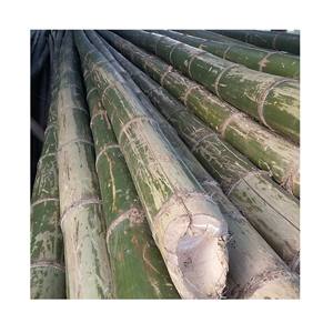 Varas de Bambú/ Materiales Duraderos y Sostenibles en el Mundo de los Productos de Construcción Ecológica - Product Image 4