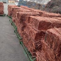 Déchets de cuivre 99.99%