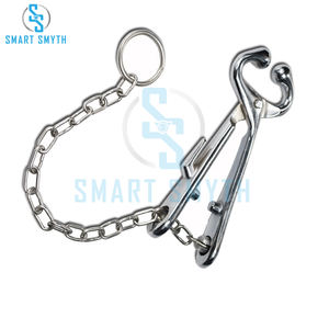 คีมจับจมูกแบบมีโซ่ อุปกรณ์สัตวแพทย์ สแตนเลสสตีล คุณภาพดีที่สุด - Product Image 6