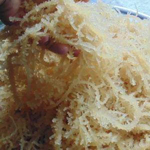 MEJOR PRECIO EUCHEUMA COTTONII ALGAS VIETNAM ORIGINAL-CALIDAD MAR MUSGO MAR IRLANDÉS VENTA ENTERA - Product Image 2