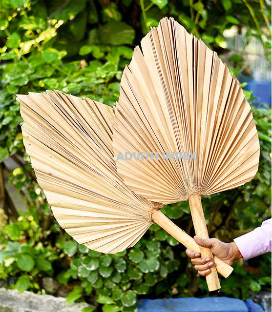 ธรรมชาติ