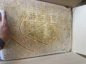 2021เสาวรสแช่แข็งออร์แกนิกพร้อมเมล็ดจากเวียดนาม iqf - Product Image 5